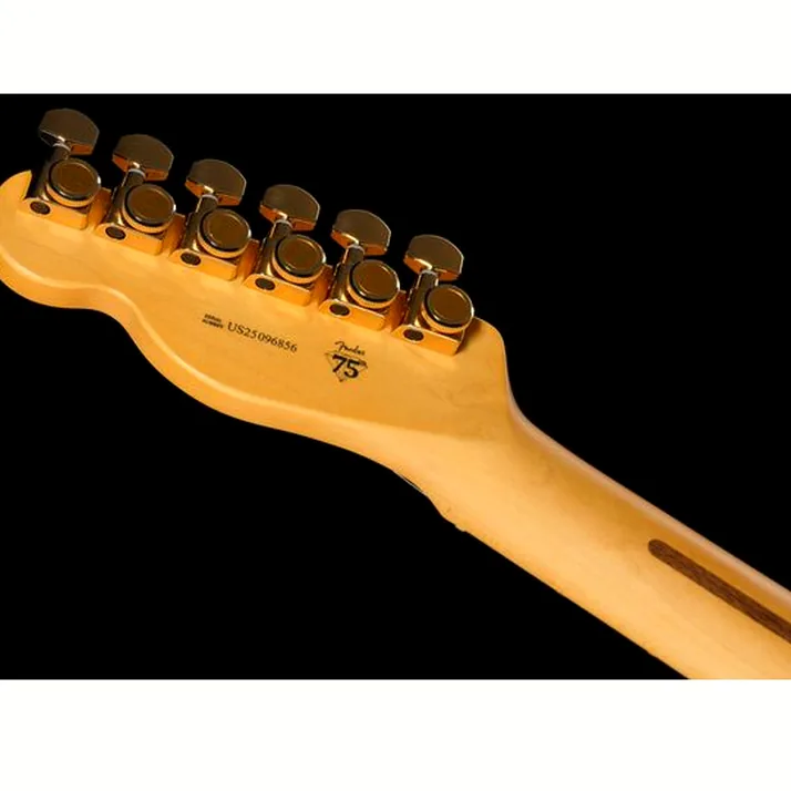 Fender 75th Anniv Am Pro II Tele 2CSB