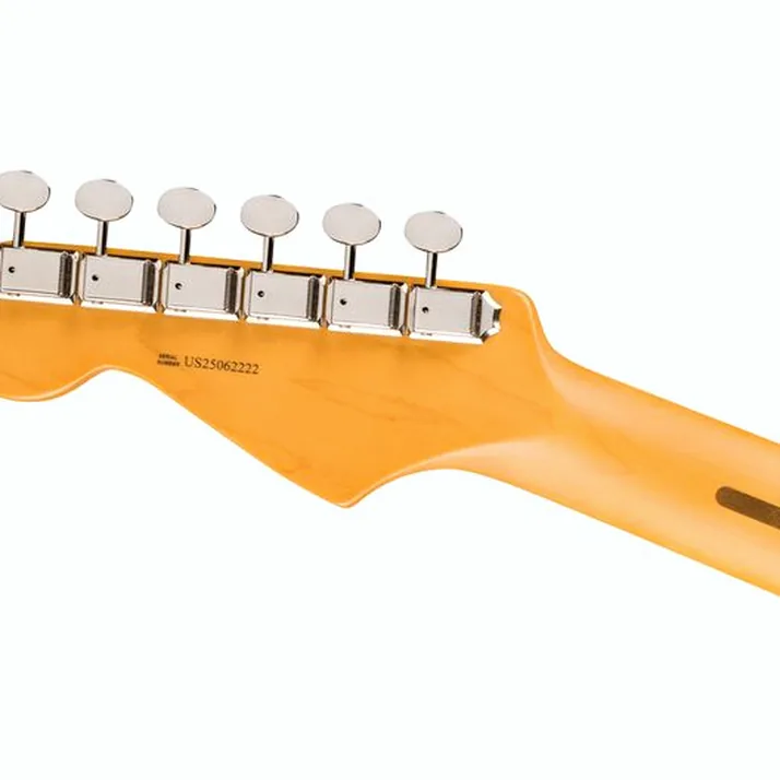 Fender Am Pro Clsc Strat HSS MN FLPB