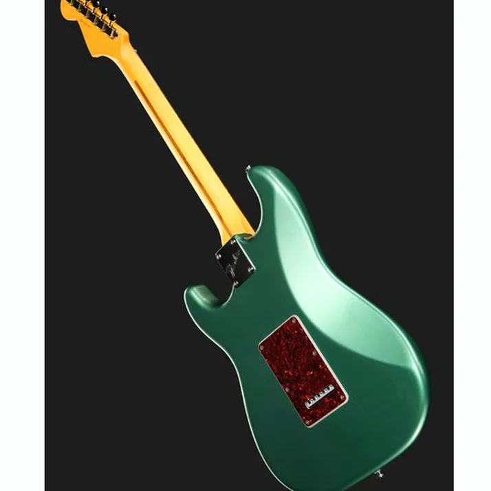 Fender Am Pro Clsc Strat RW FSGM