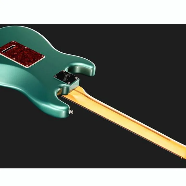 Fender Am Pro Clsc Strat RW FSGM