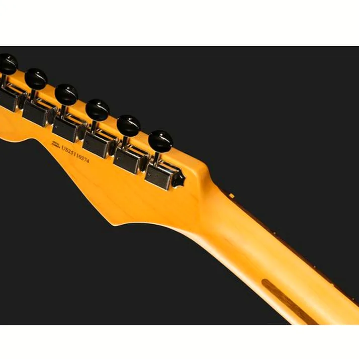 Fender Am Pro Clsc Strat RW FSGM