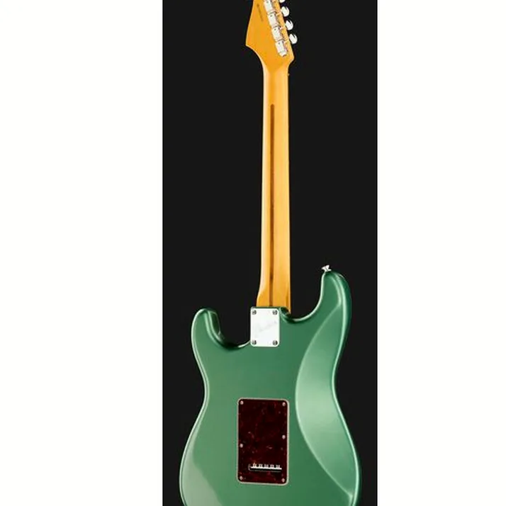 Fender Am Pro Clsc Strat RW FSGM