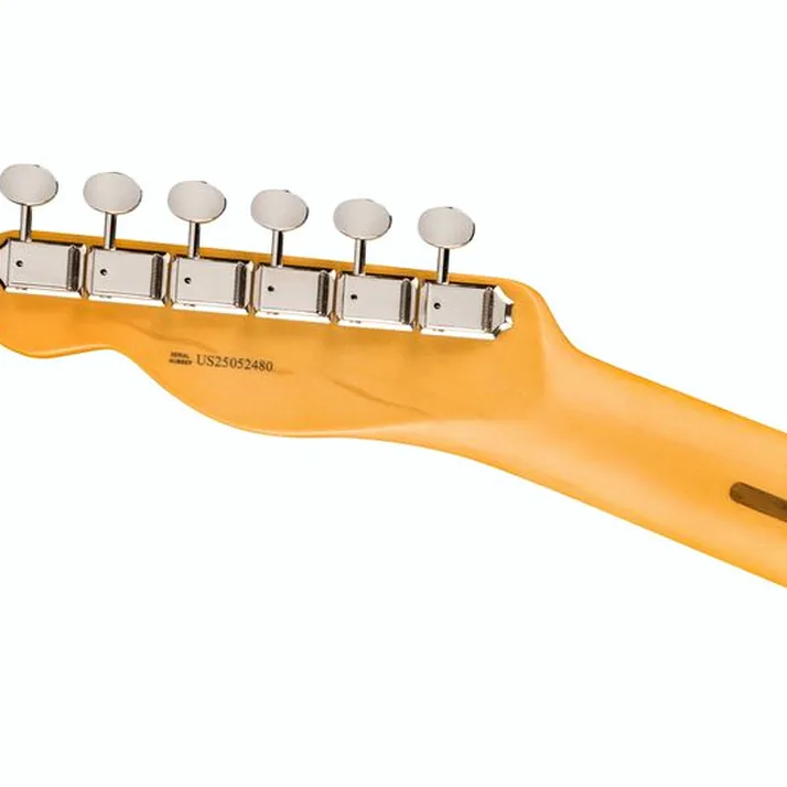 Fender Am Pro Clsc Tele MN FLPB