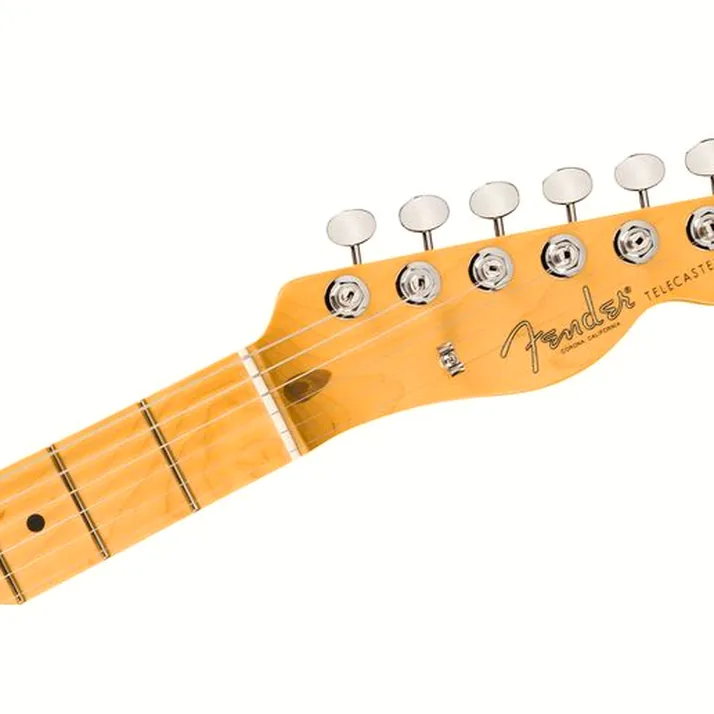 Fender Am Pro Clsc Tele MN FSGM