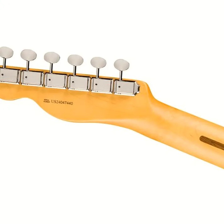 Fender Am Pro Clsc Tele MN FSGM