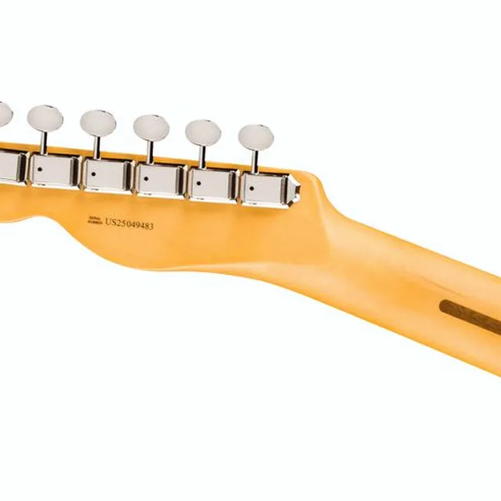 Fender Am Pro Clsc Tele SSS MN