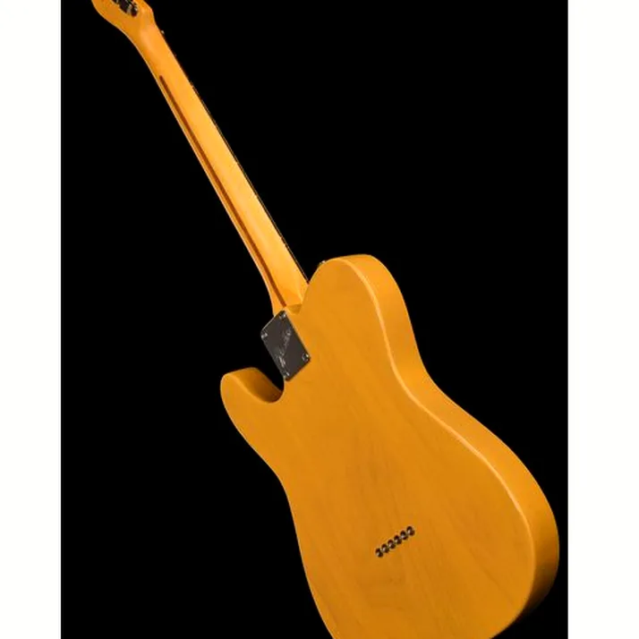 Fender Am Pro Clsc Tele SSS RW BTB