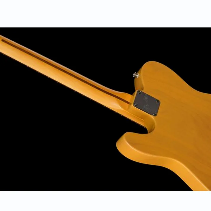 Fender Am Pro Clsc Tele SSS RW BTB