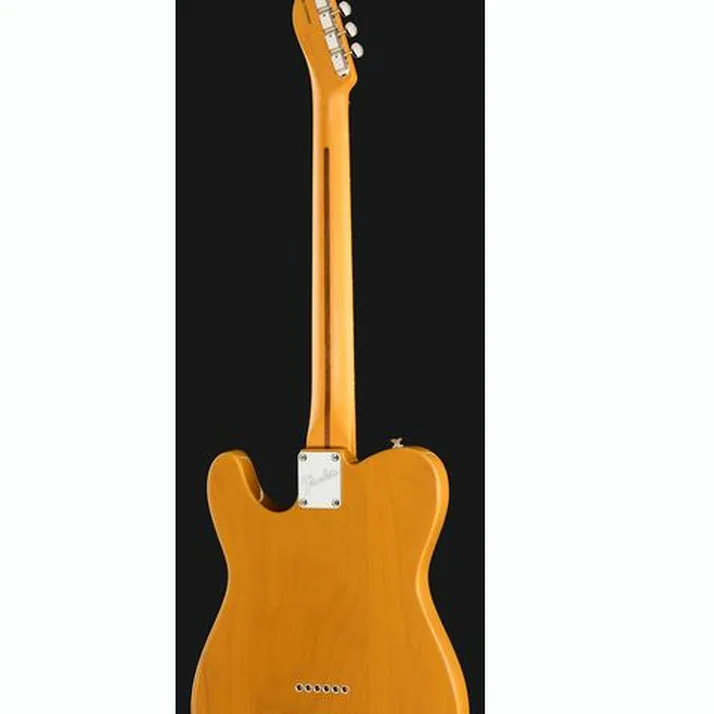 Fender Am Pro Clsc Tele SSS RW BTB