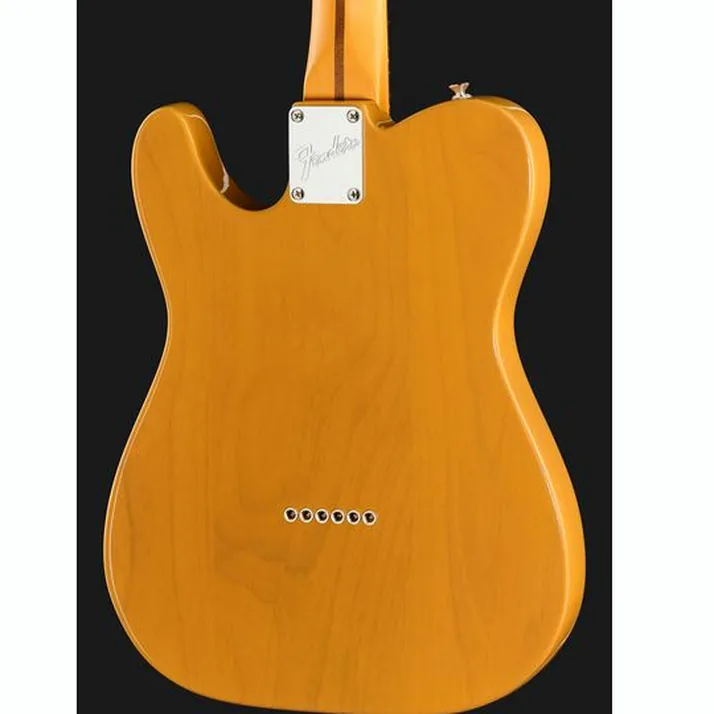 Fender Am Pro Clsc Tele SSS RW BTB