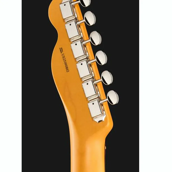 Fender Am Pro Clsc Tele SSS RW BTB