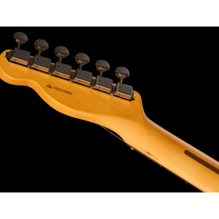 Fender Am Pro Clsc Tele SSS RW FSGM