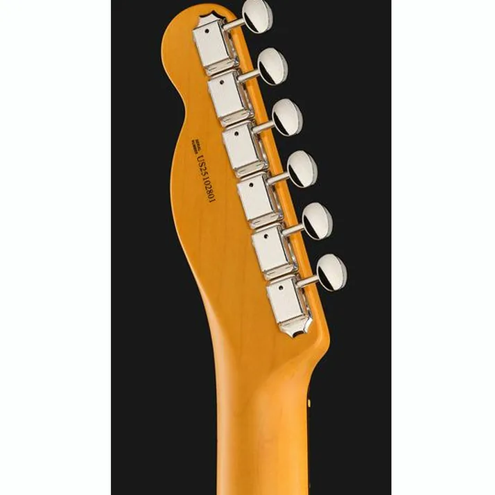 Fender Am Pro Clsc Tele SSS RW FSGM