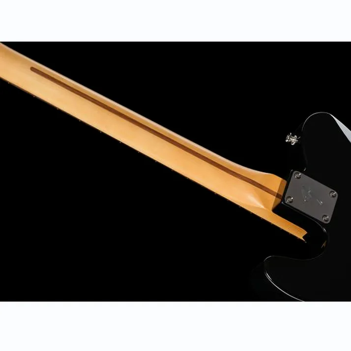 Fender Player II Tele HH RW
