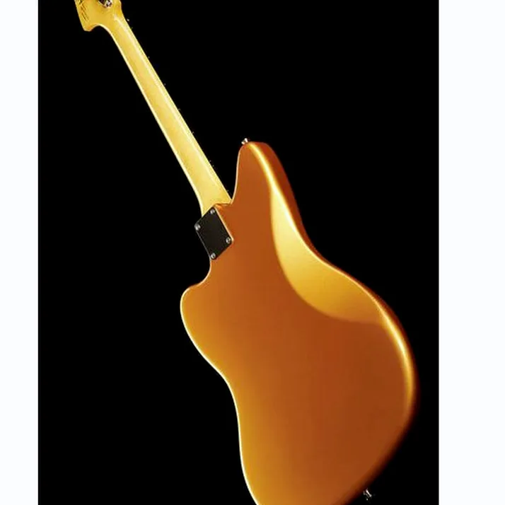 Fender Troy V Leeuwen Jazzmaster MN