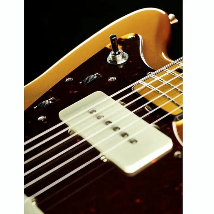 Fender Troy V Leeuwen Jazzmaster MN