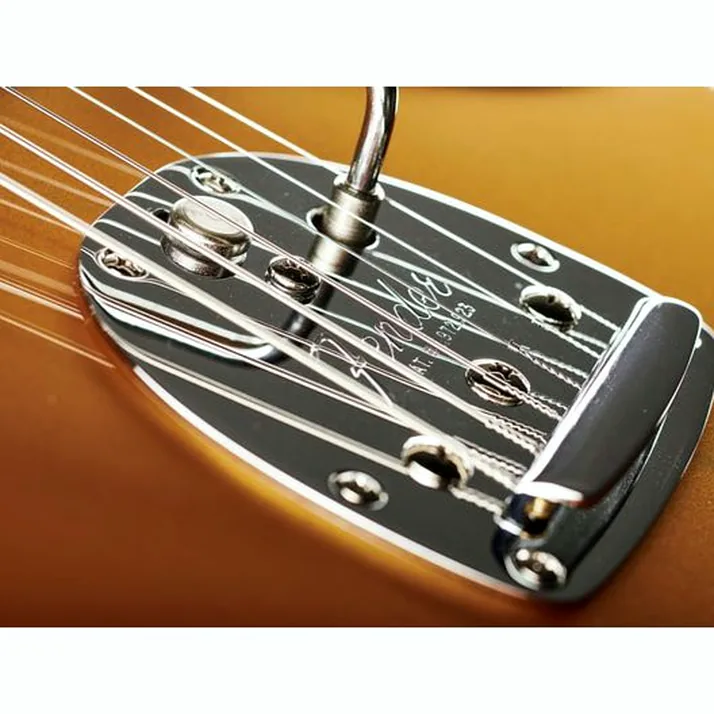 Fender Troy V Leeuwen Jazzmaster MN