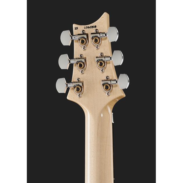 PRS Custom 24 Floyd