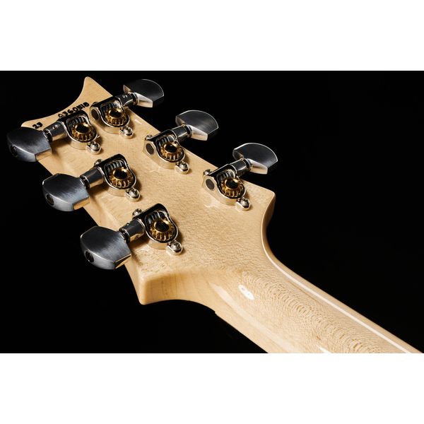PRS Custom 24 Floyd