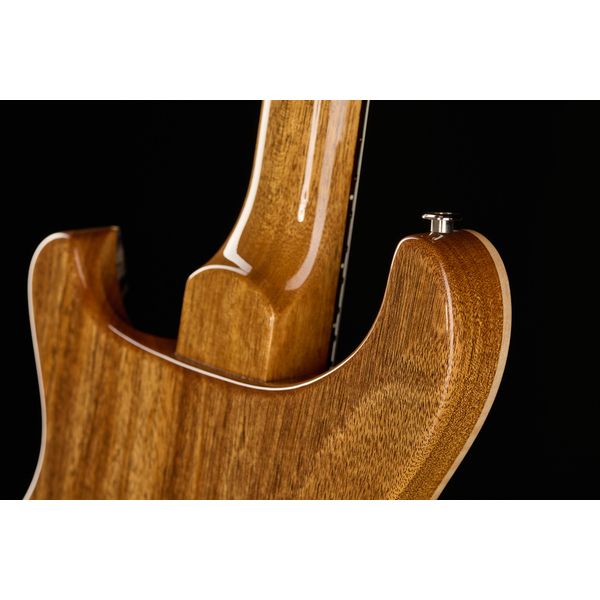 PRS DGT Birds