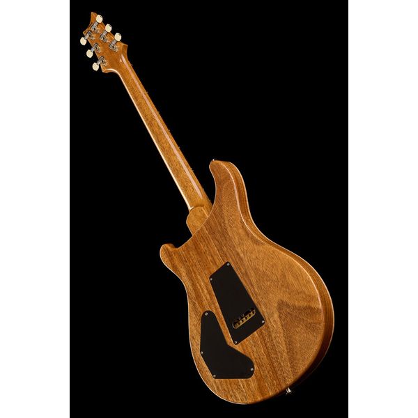 PRS DGT Birds