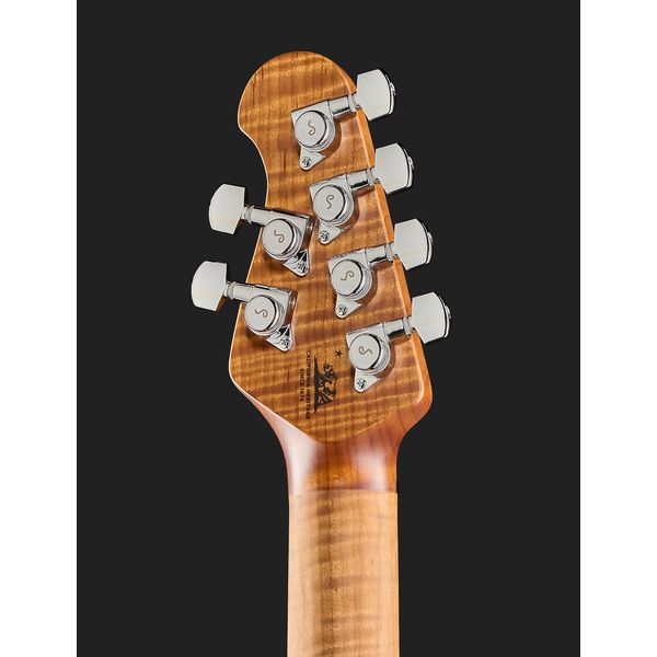Music Man Sabre HT Bear