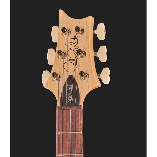 PRS Swamp Ash Special DH