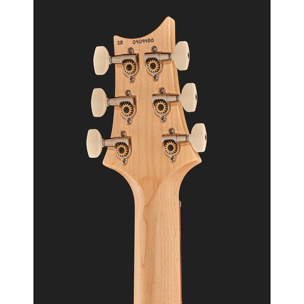 PRS Swamp Ash Special DH