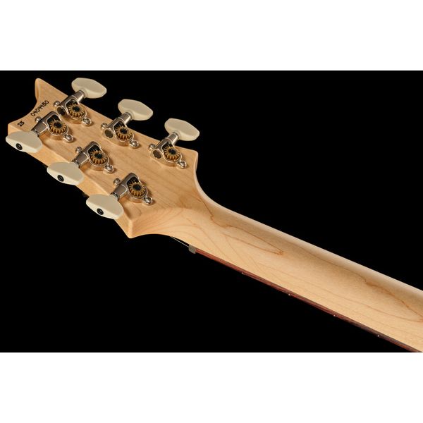 PRS Swamp Ash Special DH