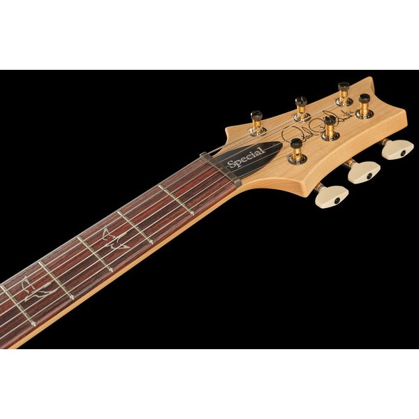 PRS Swamp Ash Special DH