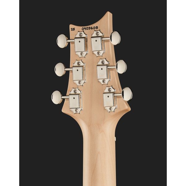 PRS Myles Kennedy Hunters
