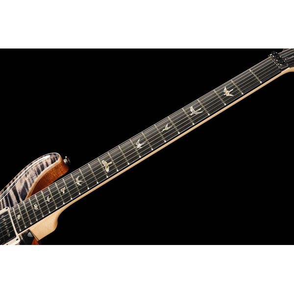 PRS Custom 24 Floyd 10 Top