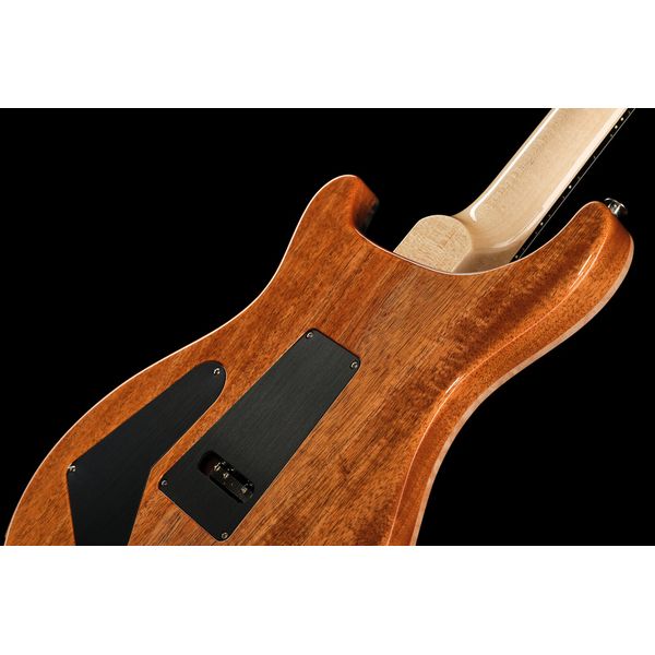 PRS Custom 24 Floyd 10 Top