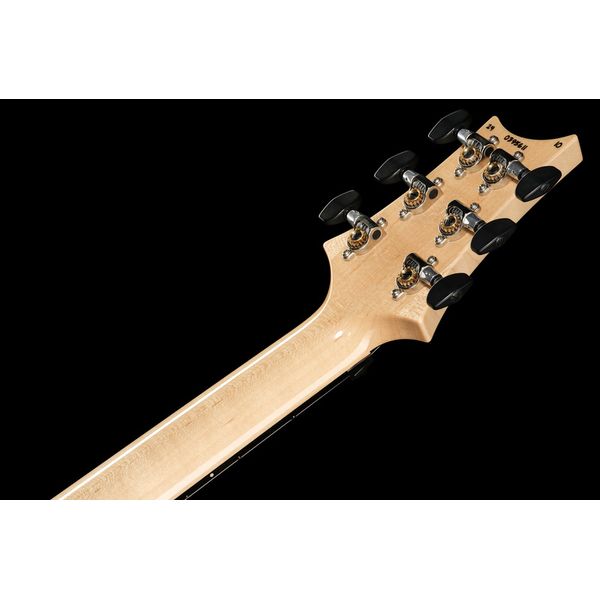 PRS Custom 24 Floyd 10 Top