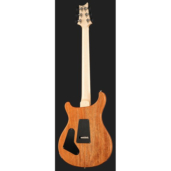 PRS Custom 24 Floyd 10 Top