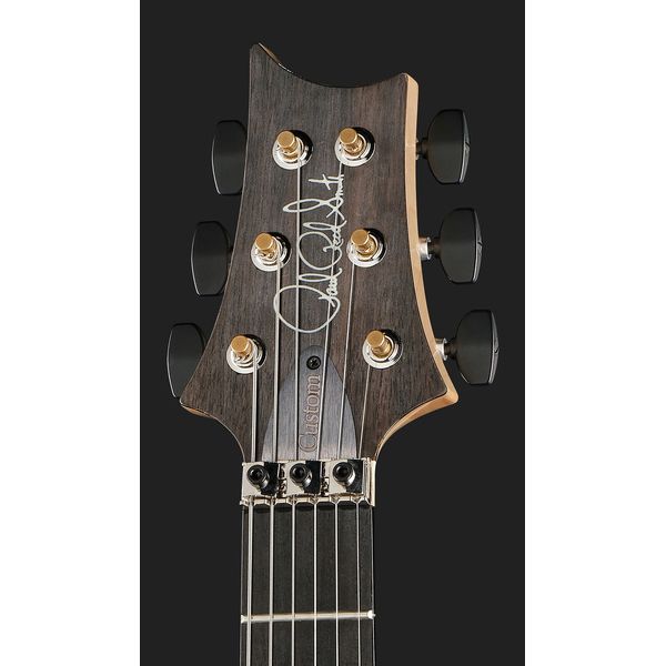PRS Custom 24 Floyd 10 Top