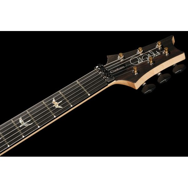 PRS Custom 24 Floyd 10 Top