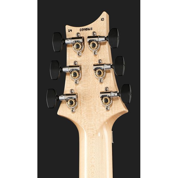 PRS Custom 24 Floyd 10 Top