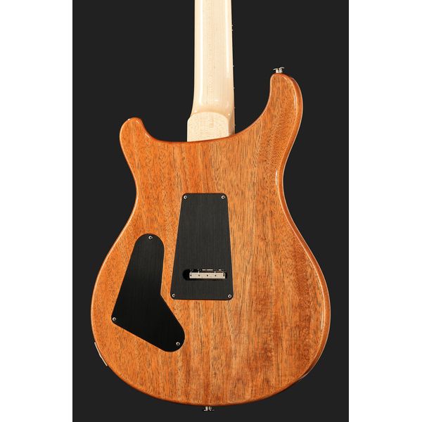 PRS Custom 24 Floyd 10 Top