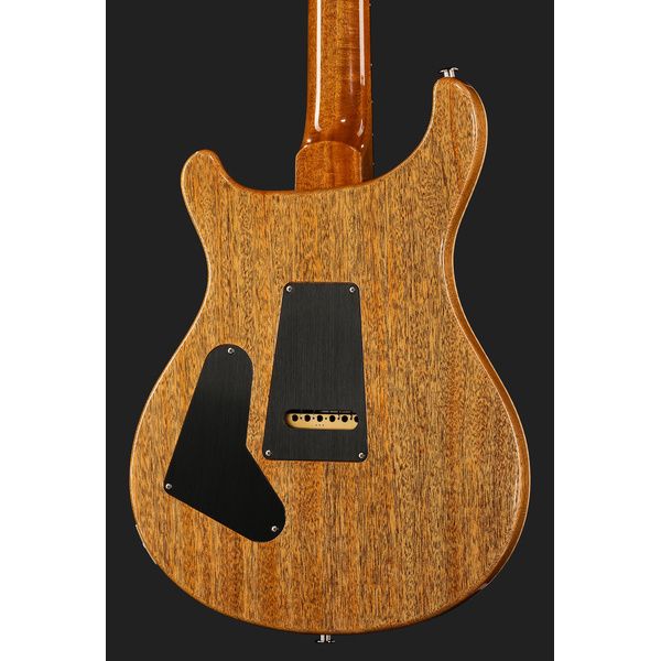 PRS 40th Anniv Custom 24 TE
