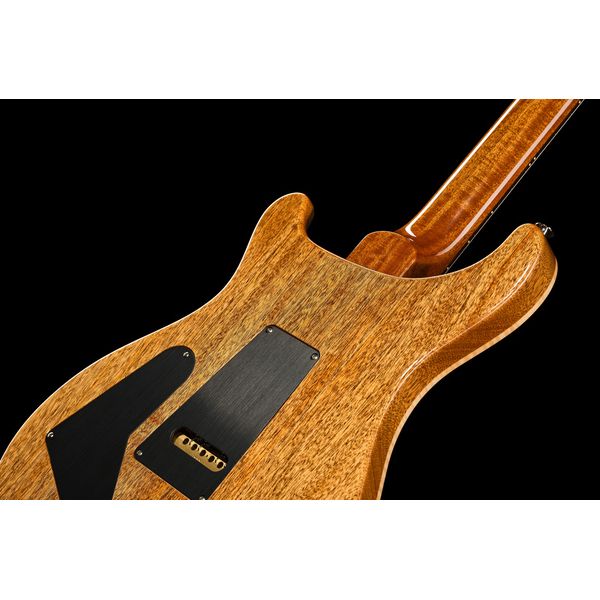 PRS 40th Anniv Custom 24 TE