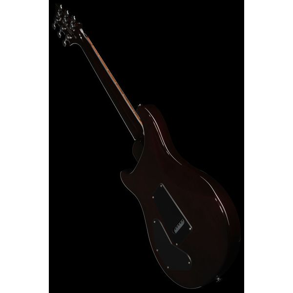PRS SE DGT Standard Moons MTS
