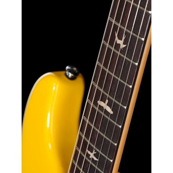 PRS SE Sky Dandy Lion