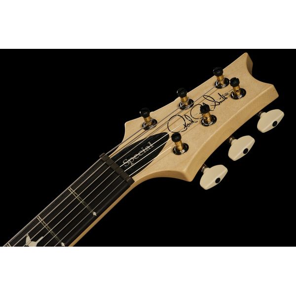 PRS CE 24 LTD Carroll