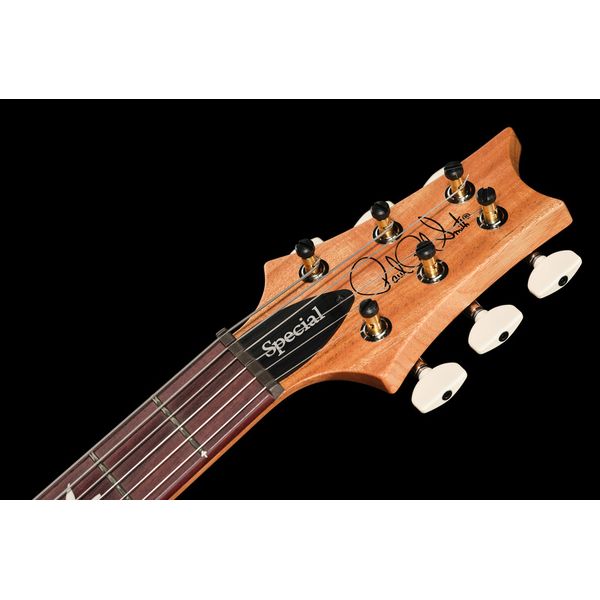 PRS S2 Special S H Reclaimed Ltd