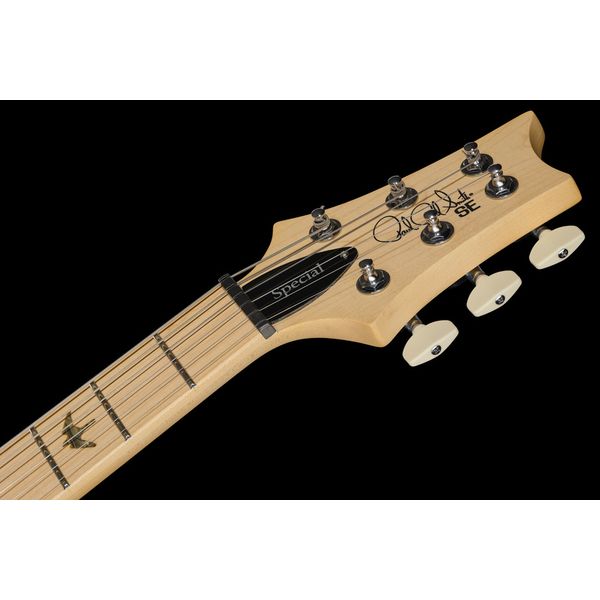 PRS SE Swamp Ash Special