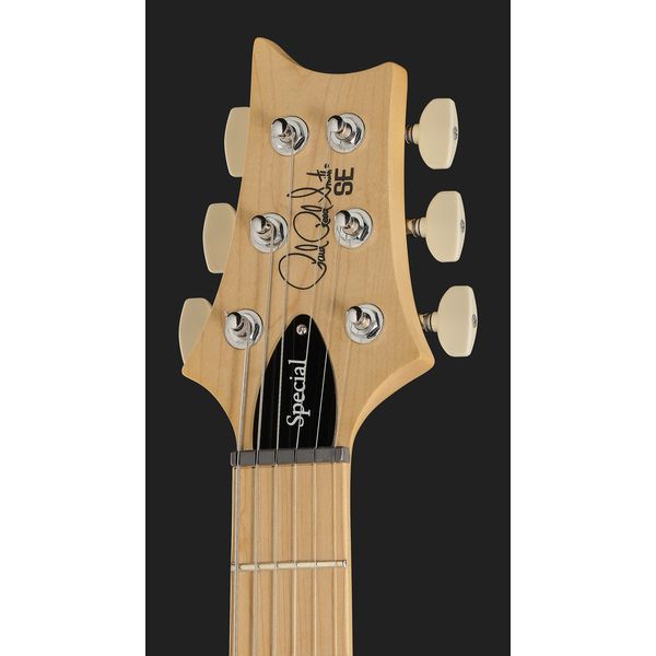 PRS SE Swamp Ash Special