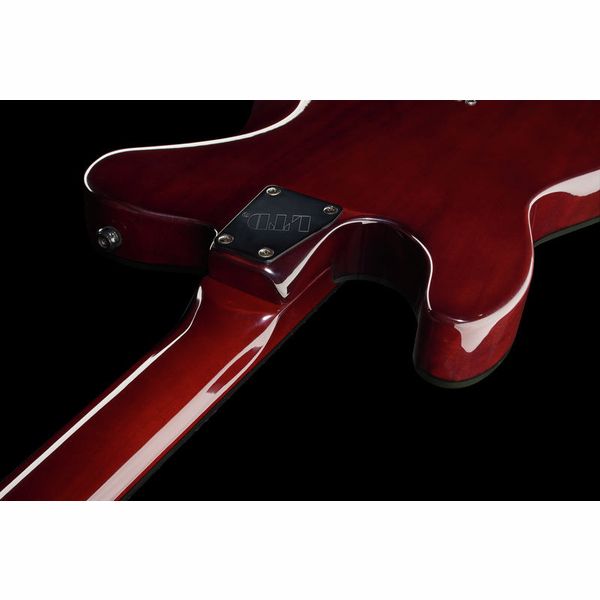 ESP LTD TE-200