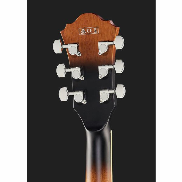 Ibanez AF55-TF