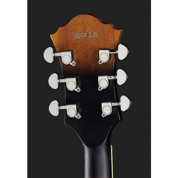 Ibanez AF55L-TF